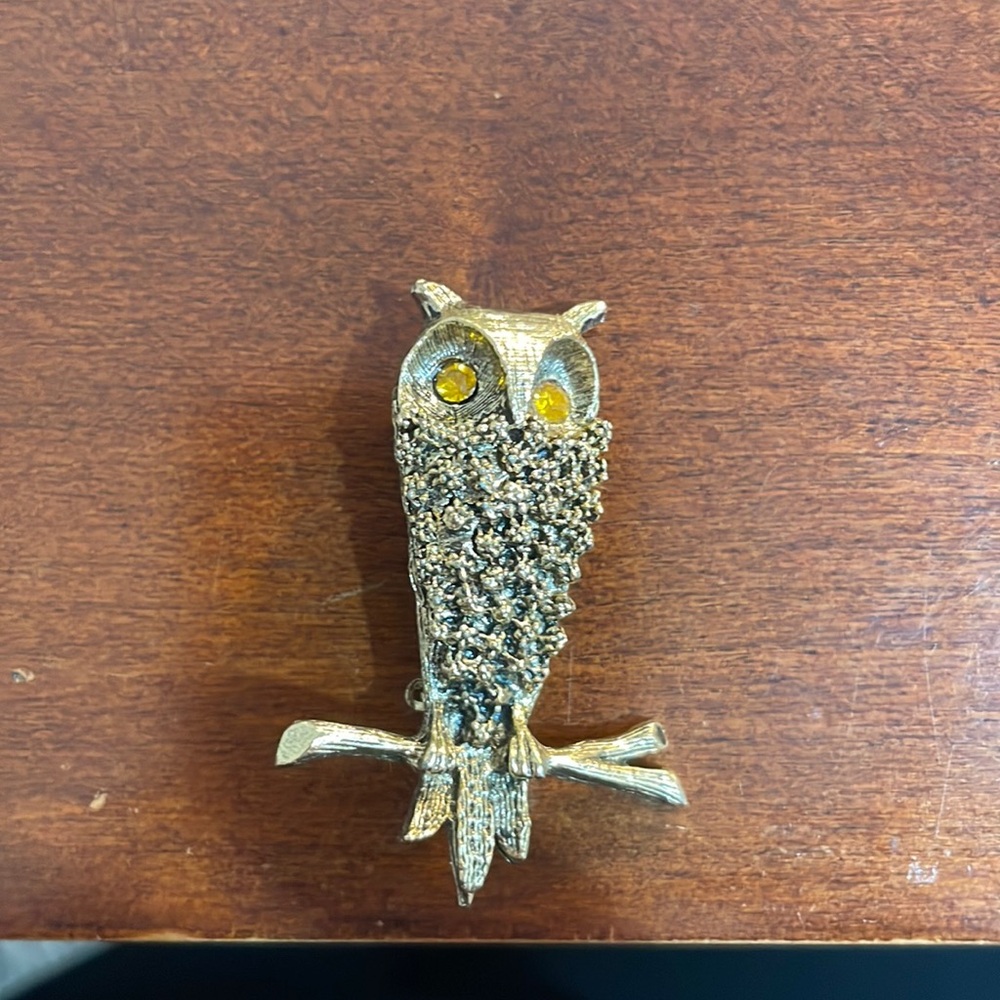 Vintage Woodsy the owl brooch